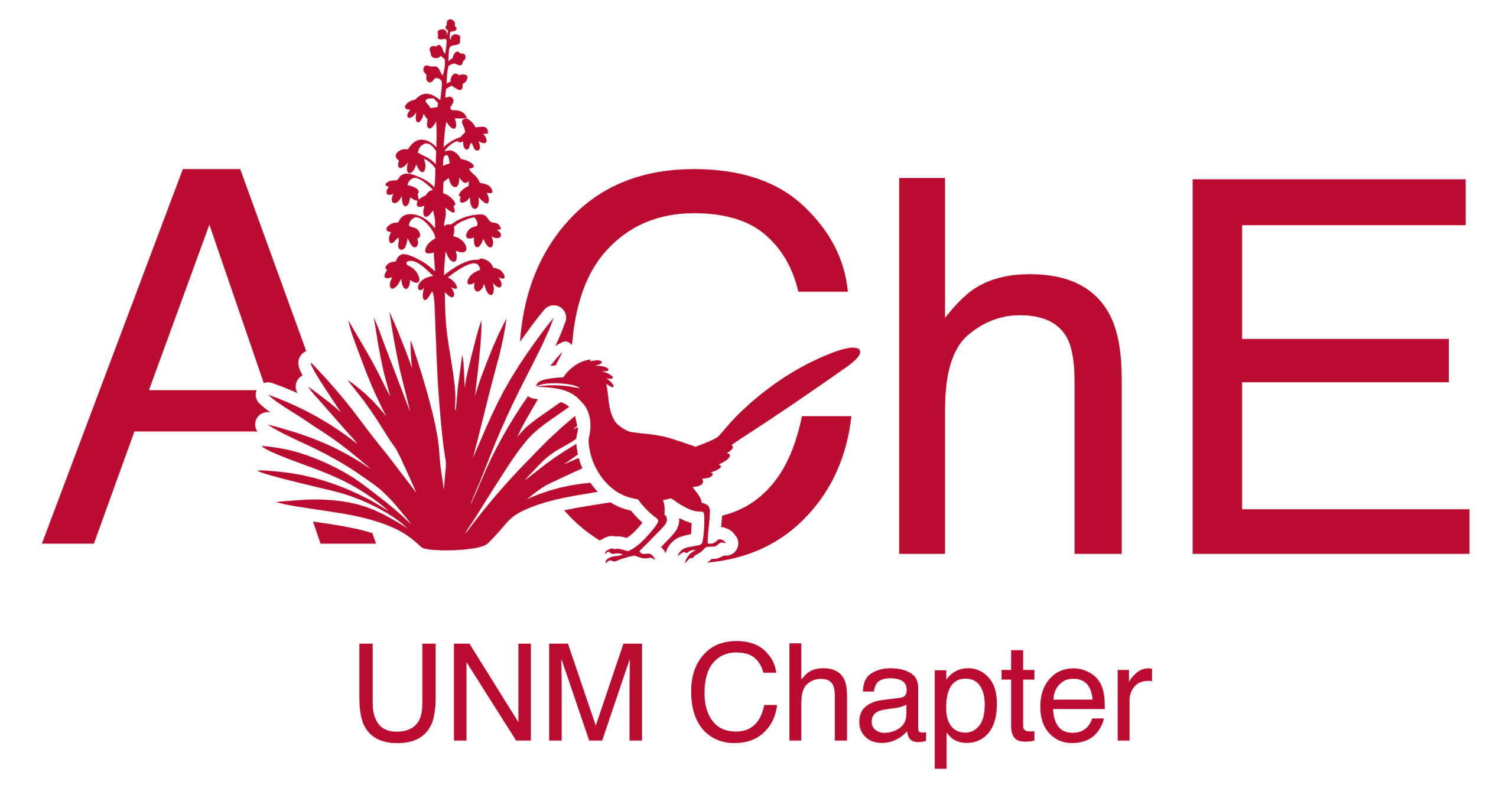 UNM AIChE